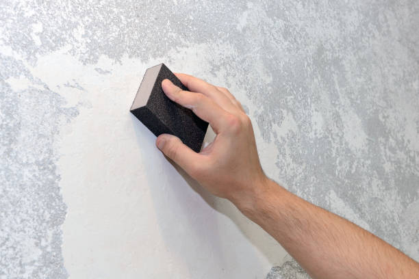 Best Mold Odor Removal Services  in Plattsburg, MO