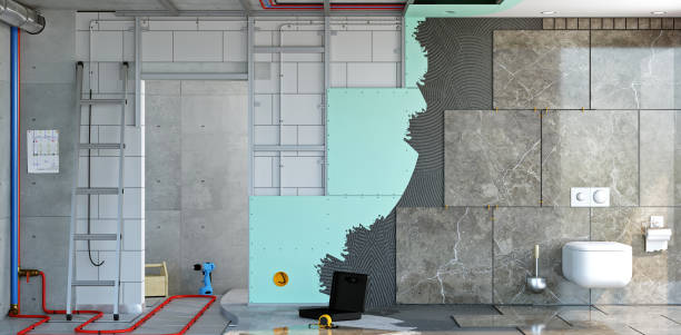 Reliable Plattsburg, MO Mold Removal Solutions